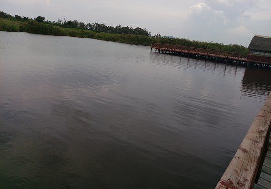 Lake Kanyaboli National Reserve